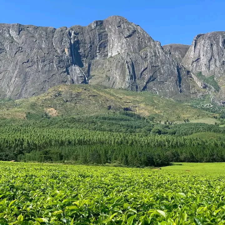 Mount Mulanje Expeditions